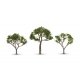 Gum Trees -- 2-1/2 to 3-1/2′ 6.4 to 8.8cm Tall pkg(3), All Scales, Woodland Scenics 3525