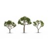 Gum Trees -- 2-1/2 to 3-1/2′ 6.4 to 8.8cm Tall pkg(3), All Scales, Woodland Scenics 3525