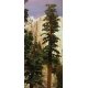 Redwood Trees -- 6 to 9′ 15.2 to 22.9cm pkg(2), All Scales, Grand Central Scenery T42