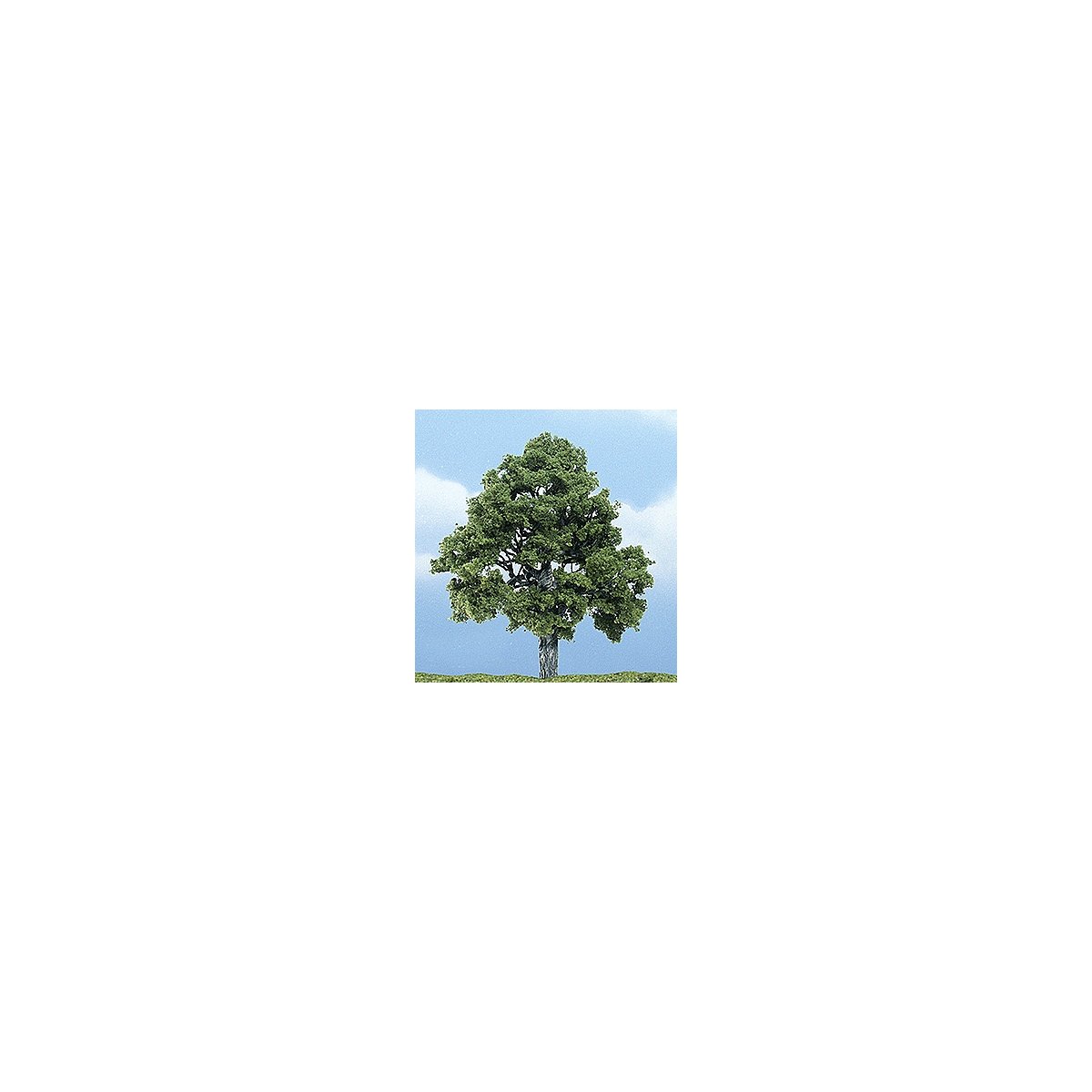 Ready Made Premium Trees(TM) - Deciduous -- Beech - 4′ 10.2cm, All Scales, Woodland Scenics 1615