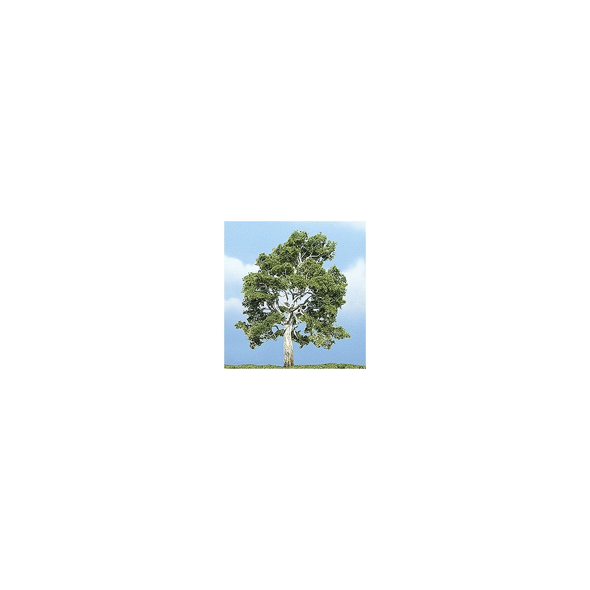Sycamore Tree - Ready Made Premium Trees(TM) -- 4-1/4′ 11.4cm, All Scales, Woodland Scenics 1609
