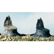 Cut Stumps -- pkg(14), All Scales, Woodland Scenics 31