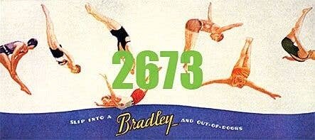 Bradley Swimwear Billboard - Kit, N, Tichy Train Group 2673