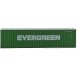 40′ Hi Cube Ribbed Side Container - Assembled -- Evergreen, N, Walthers SceneMaster 8802