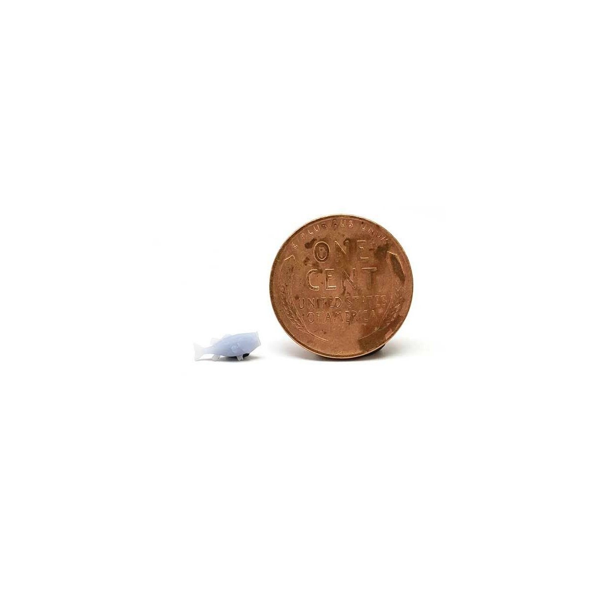 Fish -- Unpainted 3D Printed Figures pkg(5), HO, ALL SCALE MINIATURES 870984