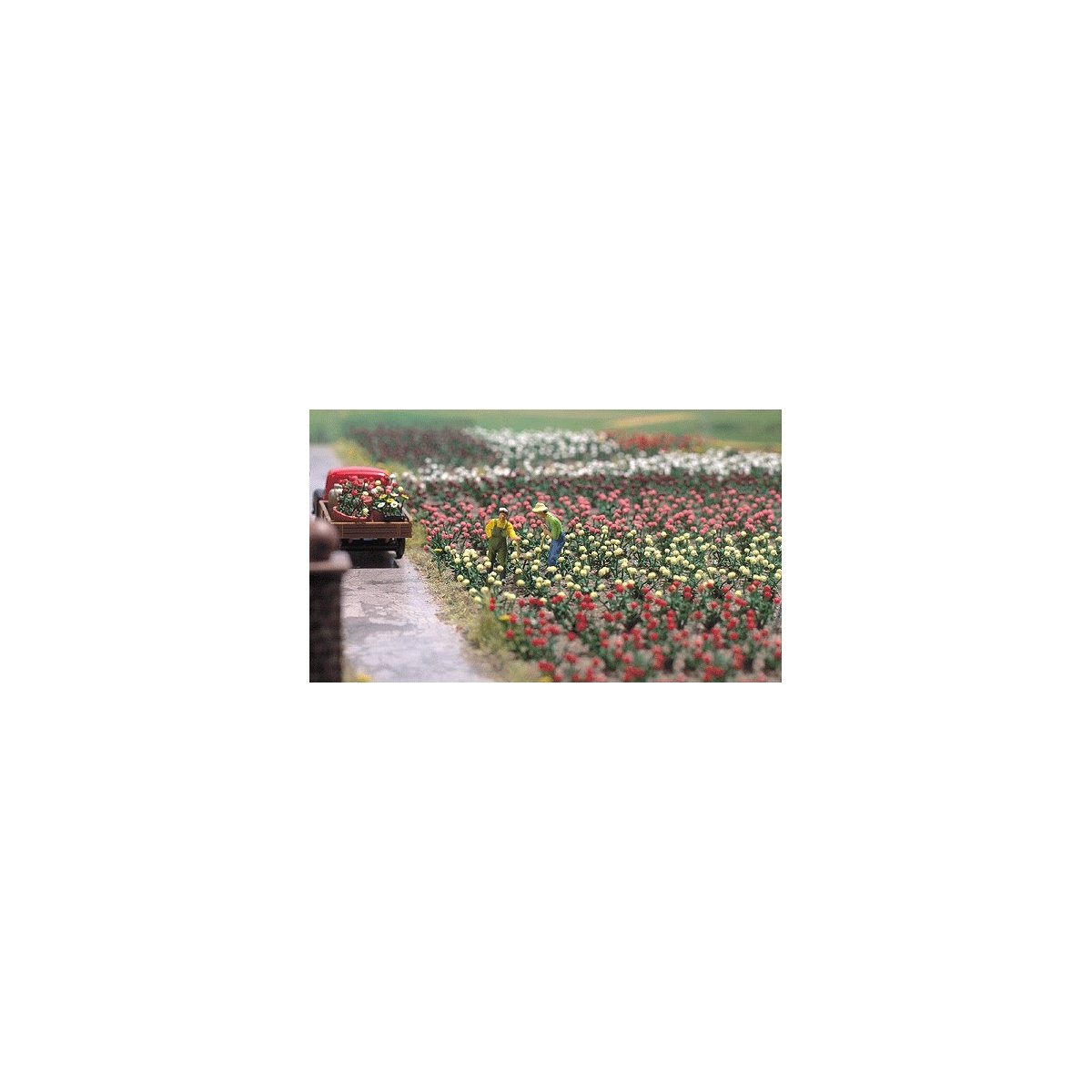 Roses -- Kit - Variety of Colors pkg(120), HO, Busch Gmbh & Co Kg 1205