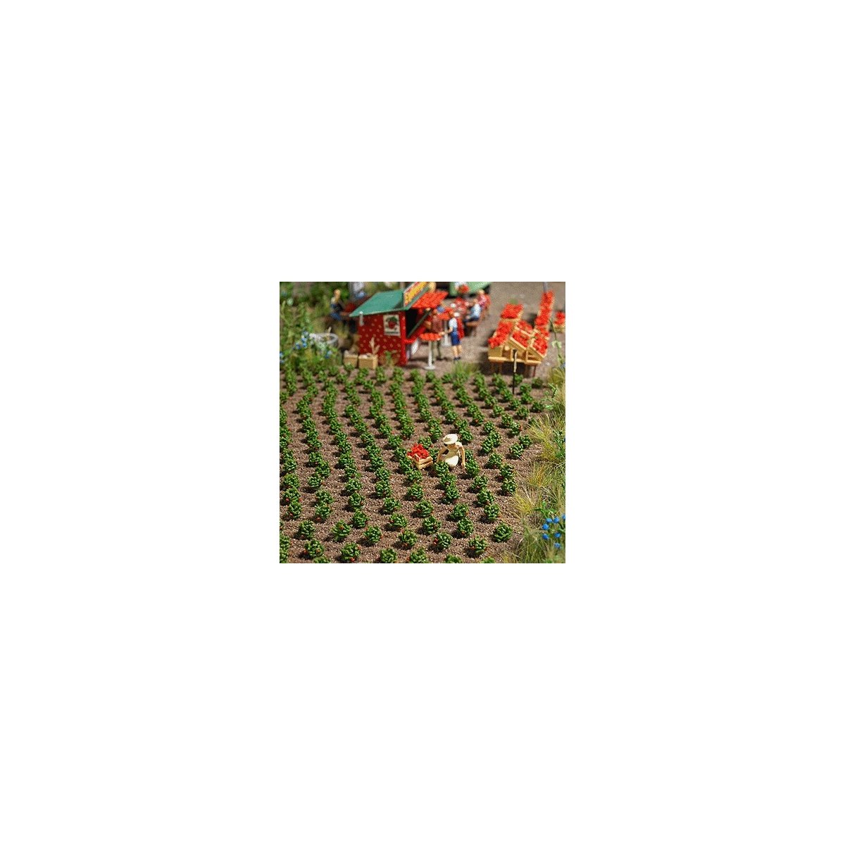 Strawberry Plants -- Kit pkg(40), HO, Busch Gmbh & Co Kg 1265