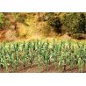 Corn Stalks -- Kit pkg(36), ALL, Faller Gmbh 181250