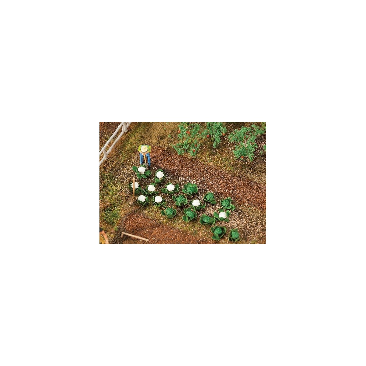 Cabbage & Cauliflower Heads -- 10 of Each, HO, Faller Gmbh 181257