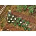 Cabbage & Cauliflower Heads -- 10 of Each, HO, Faller Gmbh 181257