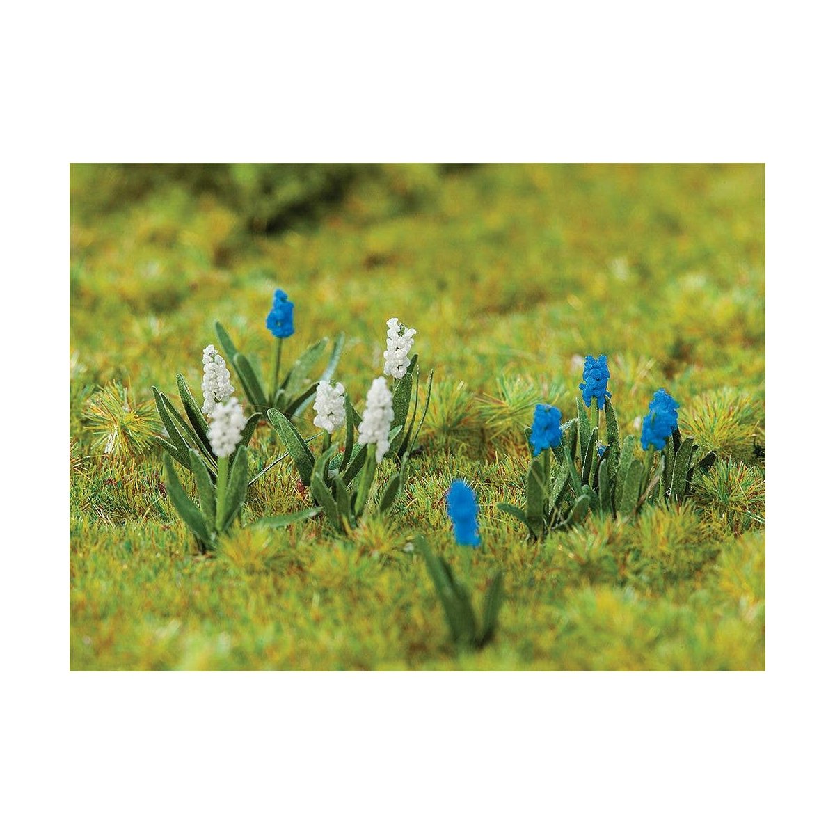 Grape Hyacinth -- pkg(32), HO, Faller Gmbh 181265