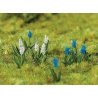 Grape Hyacinth -- pkg(32), HO, Faller Gmbh 181265