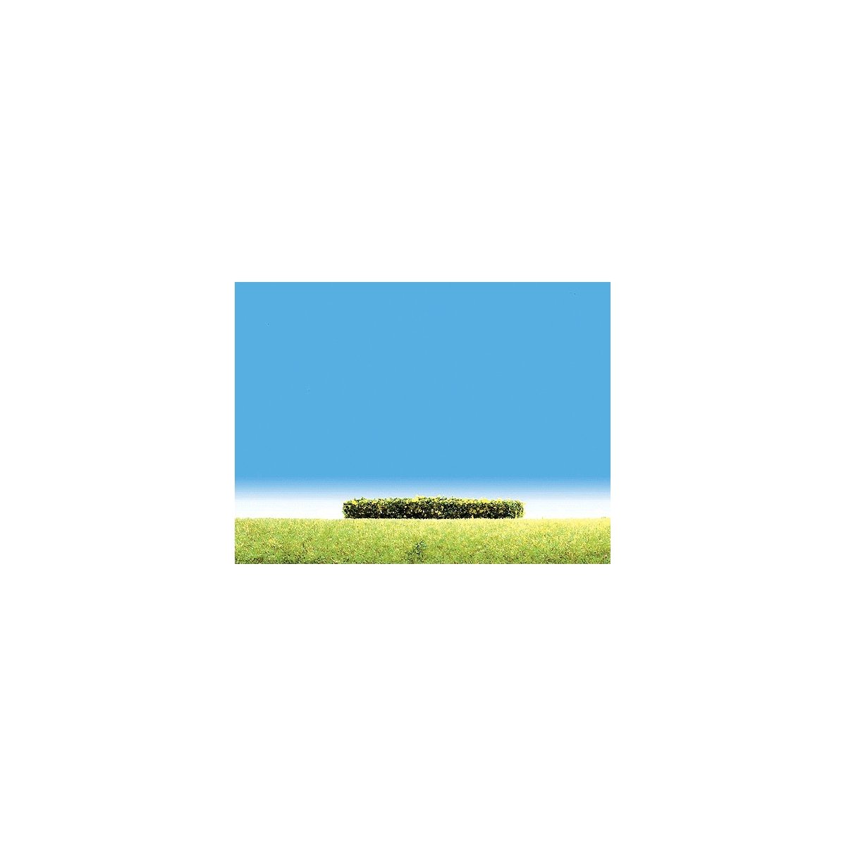 Hedges -- Flowering Yellow 4 x 3/8 x 3/8′ 10 x 1 x 1cm, HO, Faller Gmbh 181399