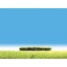 Hedges -- Flowering Yellow 4 x 3/8 x 3/8′ 10 x 1 x 1cm, HO, Faller Gmbh 181399