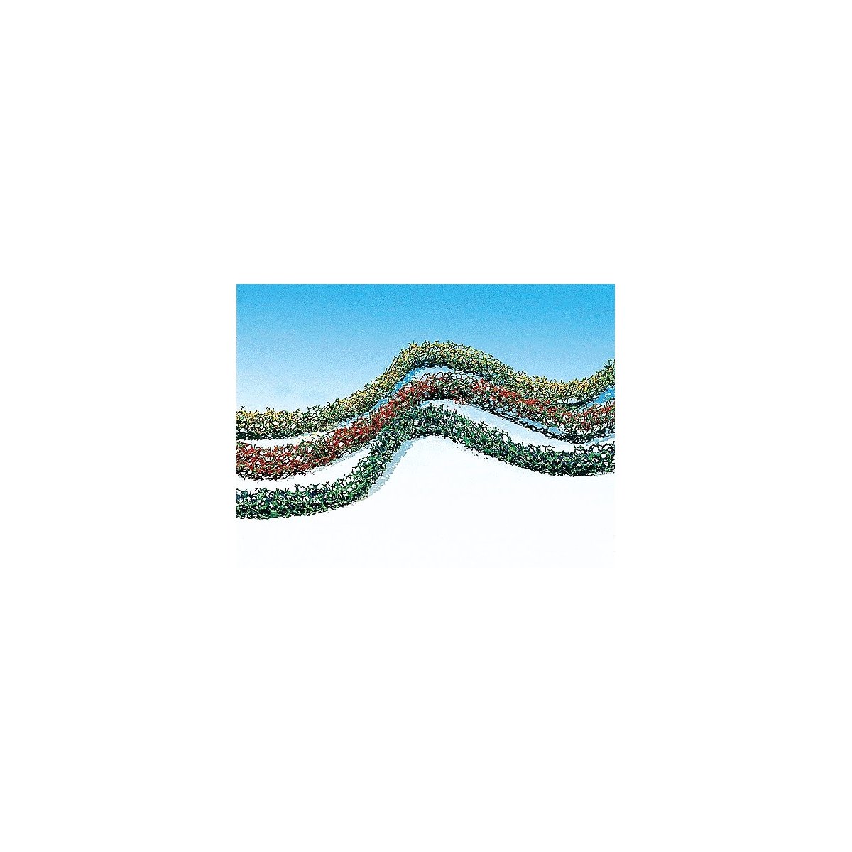 Bushes-Hedges -- Large - 3/16 x 1/8 x 20′ .5 x .3 x 50.8cm (red, green, yellow), ALL, Faller Gmbh 181443