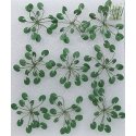 Lily Pads -- 1-1/2′ 3.8cm Wide pkg(9), O, JTT Miniature Tree 95538