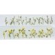 Daisies -- 7/8′ 2.2cm Tall pkg(24), O, JTT Miniature Tree 95544