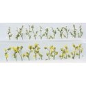 Daisies -- 7/8′ 2.2cm Tall pkg(24), O, JTT Miniature Tree 95544