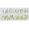Daisies -- 7/8′ 2.2cm Tall pkg(24), O, JTT Miniature Tree 95544