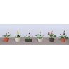 Assorted Potted Flower Plants -- Set 3 pkg(6), O, JTT Miniature Tree 95570