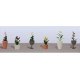 Assorted Potted Flower Plants -- Set 4 pkg(6), O, JTT Miniature Tree 95572