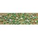 Cantaloupe Patch -- pkg(6), HO, JTT Miniature Tree 95573