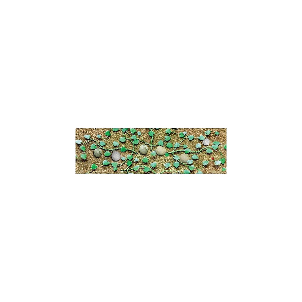 Cantaloupe Patch -- pkg(6), HO, JTT Miniature Tree 95573