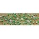 Cantaloupe Patch -- pkg(4), O, JTT Miniature Tree 95574