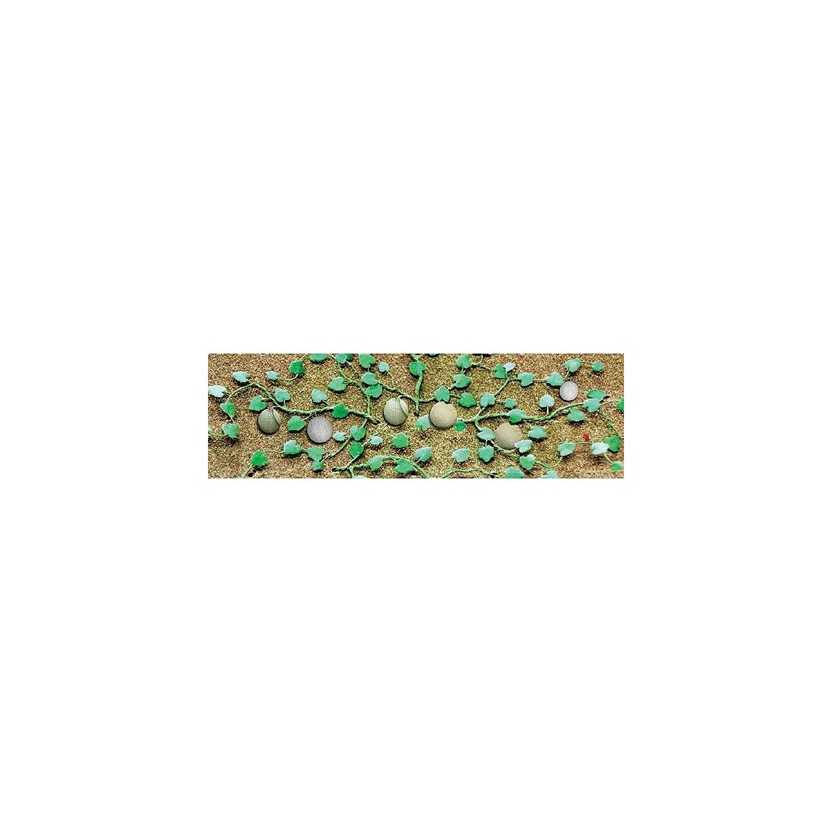 Cantaloupe Patch -- pkg(4), O, JTT Miniature Tree 95574
