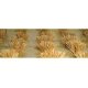 Detachable Bushes pkg(30) -- Wheat - Wheat Grass 3/8′ 1cm Tall, HO, JTT Miniature Tree 95579