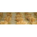 Detachable Bushes pkg(30) -- Wheat - Wheat Grass 3/8′ 1cm Tall, HO, JTT Miniature Tree 95579