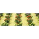 Detachable Bushes pkg(30) -- Flowers 3/8′ 1cm Tall, HO, JTT Miniature Tree 95581