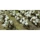 Cotton Plants pkg(40), HO, JTT Miniature Tree 95590
