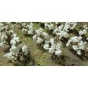 Cotton Plants pkg(40), HO, JTT Miniature Tree 95590