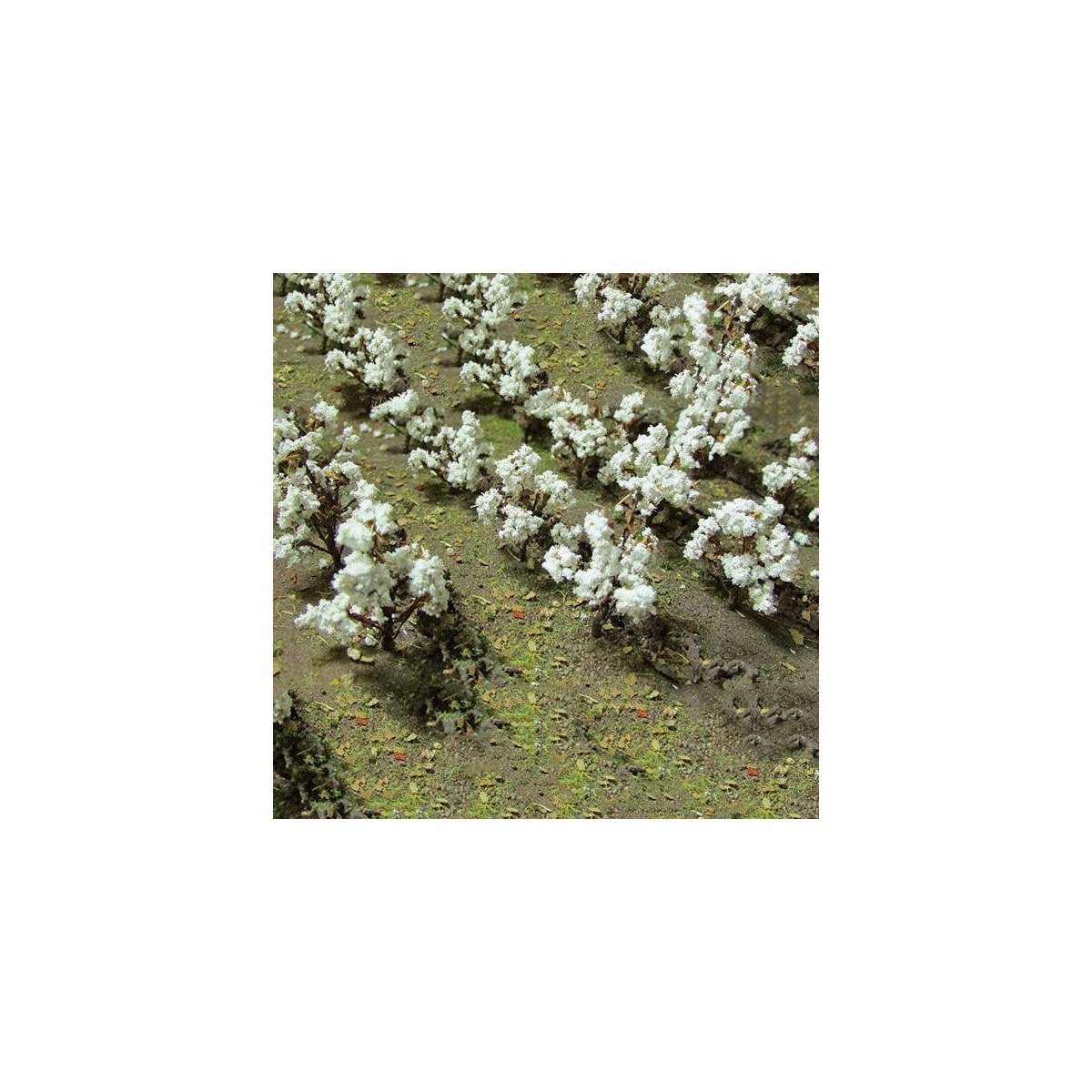Cotton Plants -- pkg(24), O, JTT Miniature Tree 95591
