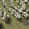 Cotton Plants -- pkg(24), O, JTT Miniature Tree 95591