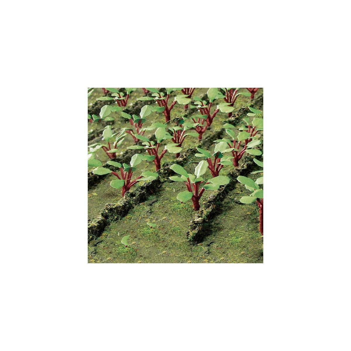 Rhubarb Plants -- pkg(18), O, JTT Miniature Tree 95593