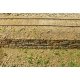 Flexible Sea Wall Sheet -- Medium for HO Scale: 3-3/4 x 12′ 9.5 x 30.5cm, ALL, Chooch Enterprises 8568