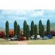 Poplar Trees pkg(10) -- Six 4-13/16` 12.2cm Four 3-13/16` 9.7cm Tall, HO, Busch Gmbh & Co Kg 6229