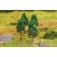 Beech Trees -- pkg(4), ALL, Faller Gmbh 181377
