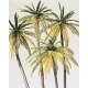 Palm Trees -- pkg(4), HO, Preiser Kg 18600