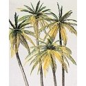 Palm Trees -- pkg(4), HO, Preiser Kg 18600