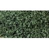 SuperLeaf Scale Model Leaf Flake - Shaker - 16oz 454g -- Olive Green, ALL, Scenic Express 6152