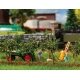 Small Apple Trees -- 1-3/4′ 4.5cm Tall pkg(10), HO, Faller Gmbh 181359