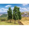 Poplar Trees -- 5-1/8′ 13cm Tall pkg(3), ALL, Faller Gmbh 181576