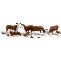 Scenic Accents(R) -- Hereford Cows pkg(7), HO, Woodland Scenics 1843