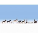 Dogs Sound Scene - Micro Sound -- 9 Dogs and Sound Circuit with speaker, HO, Noch Gmbh & Co 12852