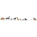 Dogs and Cats -- 7 Dogs, 4 Cats, HO, Faller Gmbh 151902