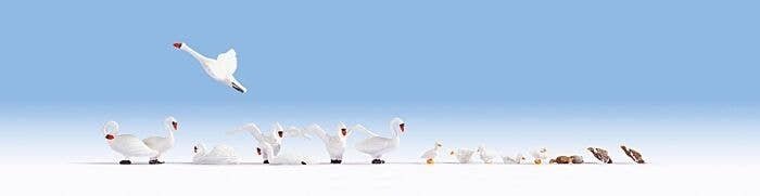 Swans & Ducks -- 8 of Each, HO, Noch Gmbh & Co 15774