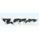 Cows -- pkg(6), 1/76, Preiser Kg 73013